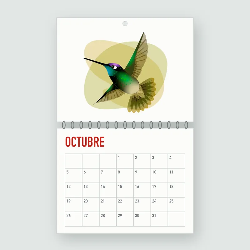 Calendario de pared abierto en octubre, con el colibrí magnífico de Mario en la hoja de arriba.